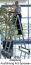 G�NZBURGER Gelenkleiter 2x3 + 2x4