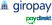 Bezahlart Giropay