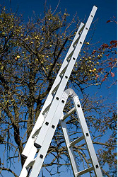 WAKÜ Aufsteckteil mit 7 Sprossen WAKÜ Aufsteckteil mit 7 Sprossen