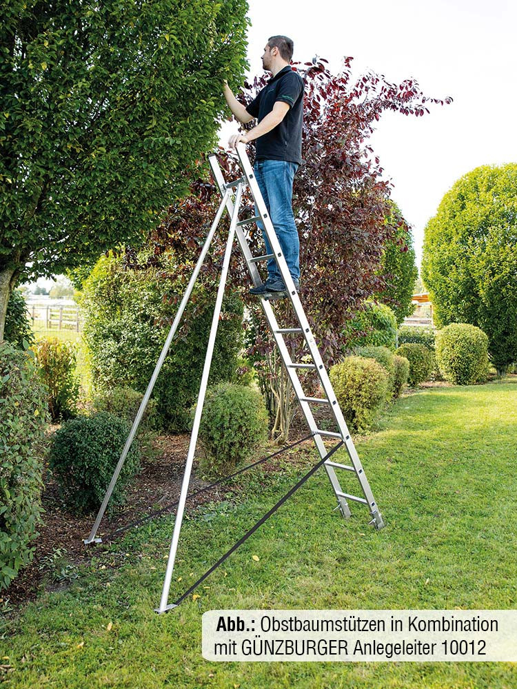 MUNK Günzburger Obstbaumstützen | Passend für MUNK Günzburger Anlegeleiter 10012 und Schiebeleiter 20212