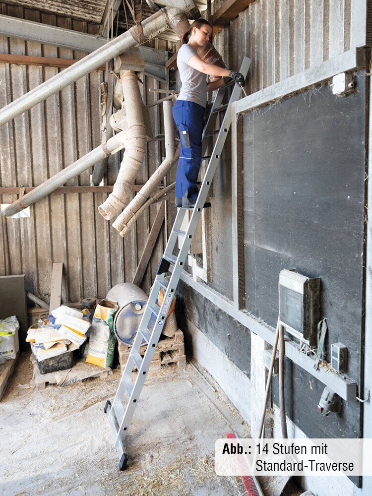 Handwerkerin verwendet MUNK Stufen-Anlegeleiter mit Standard-Traverse in einer Halle