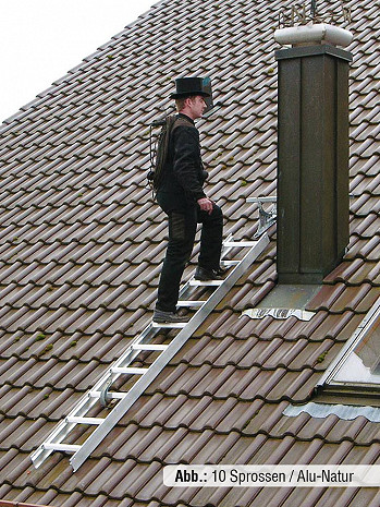 MUNK Günzburger Dachleiter Rot / Länge: 2,80 m / 10 Sprossen