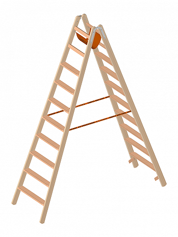 Layher Holz-Stehleiter 1020 / 2x10 Stufen / gemäß TRBS 2121-2