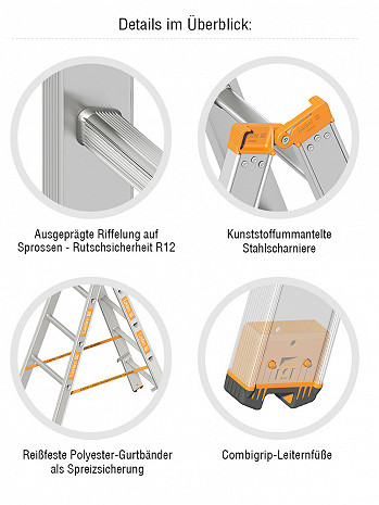 Layher Stehleiter TOPIC 1039 / 2x6 Sprossen